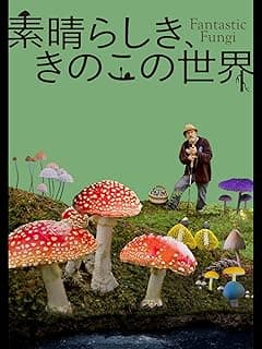 素晴らしき、きのこの世界